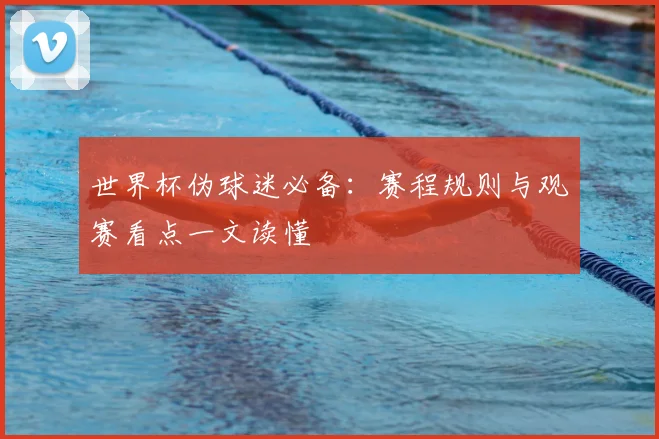 世界杯伪球迷必备：赛程规则与观赛看点一文读懂