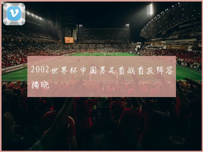 2002世界杯中国男足首战首发阵容揭晓