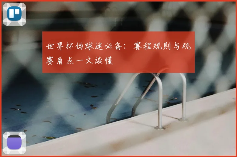 世界杯伪球迷必备：赛程规则与观赛看点一文读懂
