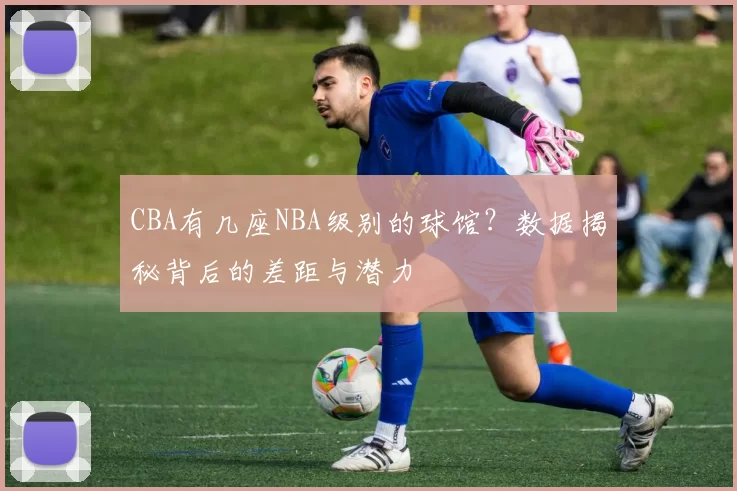 CBA有几座NBA级别的球馆？数据揭秘背后的差距与潜力